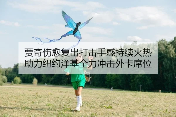 贾奇伤愈复出打击手感持续火热 助力纽约洋基全力冲击外卡席位